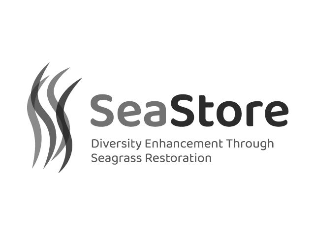 Referenz-Logos_SeaStore